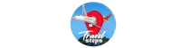 Tour Packages -Travel Steps