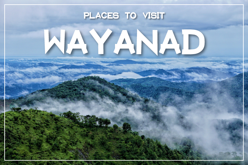 Wayanad