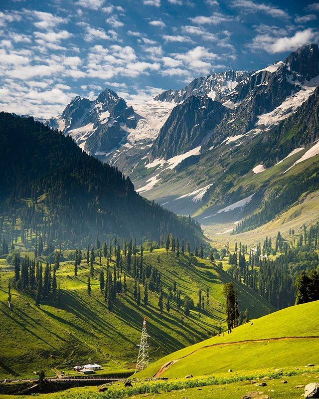 KASHMIR