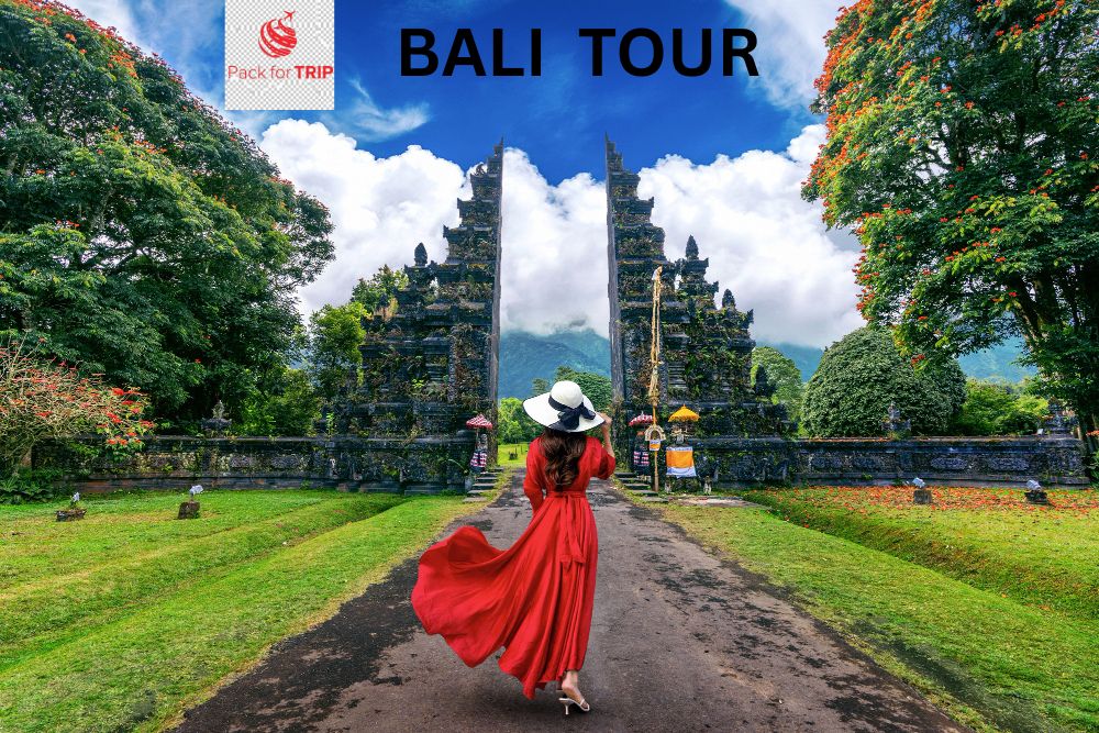 Bali Tour By Pack For TRIP